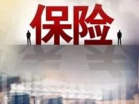 4260亿元，历史新高！五大险企盈利，劲升超千亿